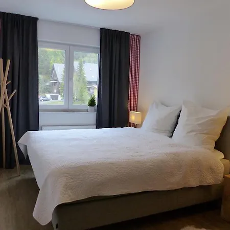 Appartement Auerhahn Feldberg (Baden-Wurttemberg)