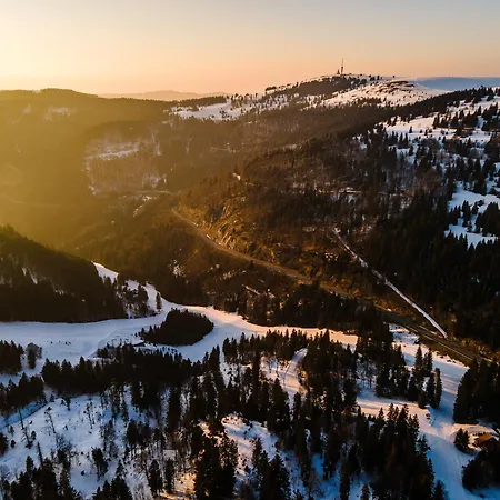 Auerhahn Feldberg *