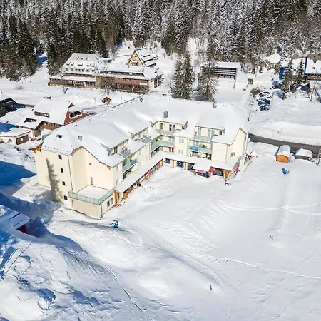 Auerhahn Feldberg Apartment