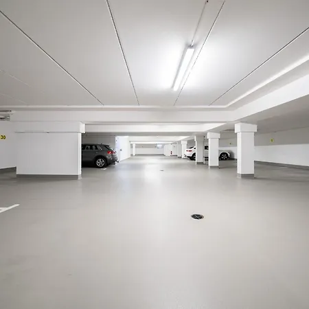 Auerhahn * Feldberg (Baden-Wurttemberg)