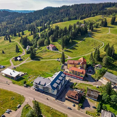 Auerhahn Feldberg (Baden-Wurttemberg)