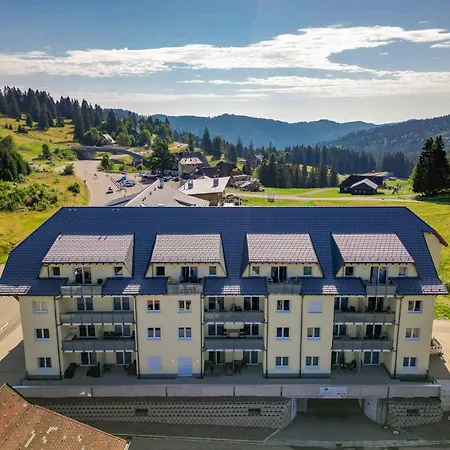 Auerhahn * Feldberg (Baden-Wurttemberg)