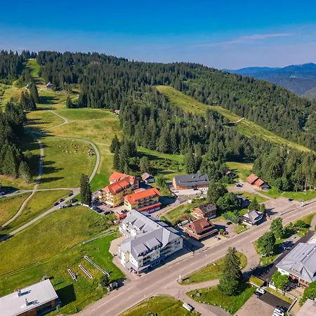 Auerhahn Feldberg * Feldberg (Baden-Wurttemberg)