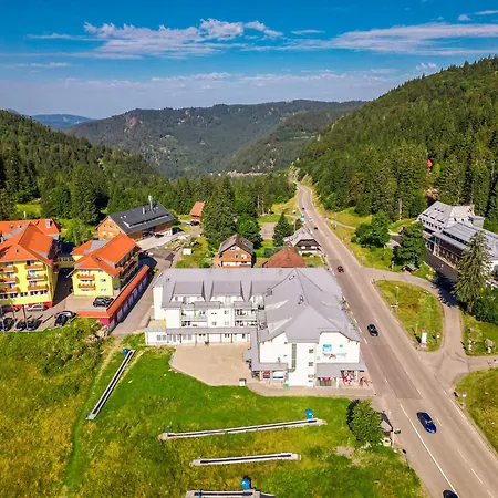 Auerhahn Feldberg *