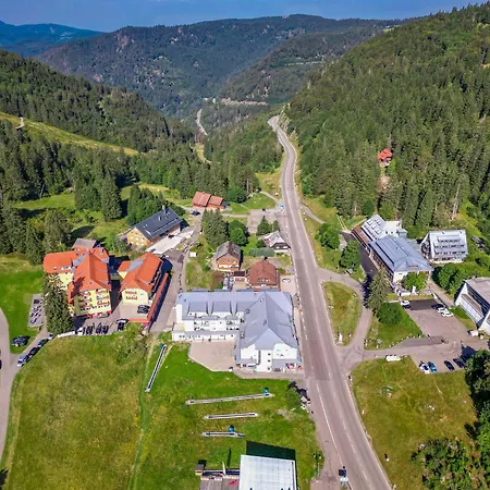 Auerhahn * Feldberg (Baden-Wurttemberg)