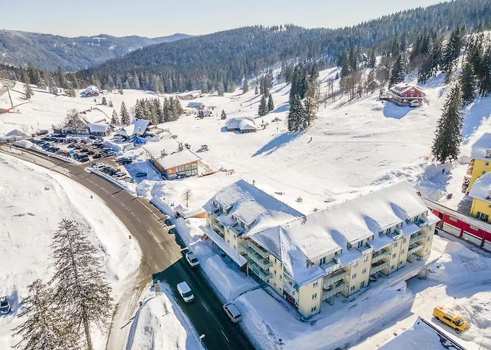 Auerhahn * Feldberg (Baden-Wurttemberg)