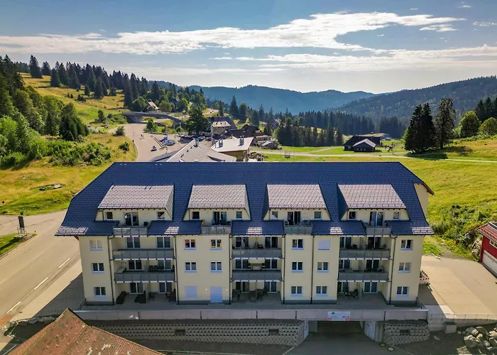 Auerhahn * Feldberg (Baden-Wurttemberg)